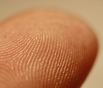 nadi jothidam in tamil