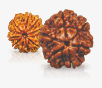 nadi jothidam in vaitheeswaran koil