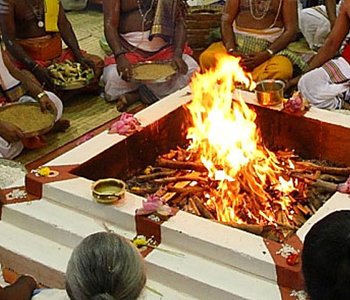 mahashiva nadi astrology