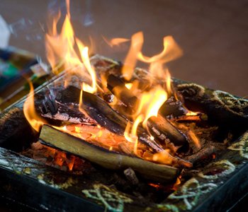 nadi  shastra online